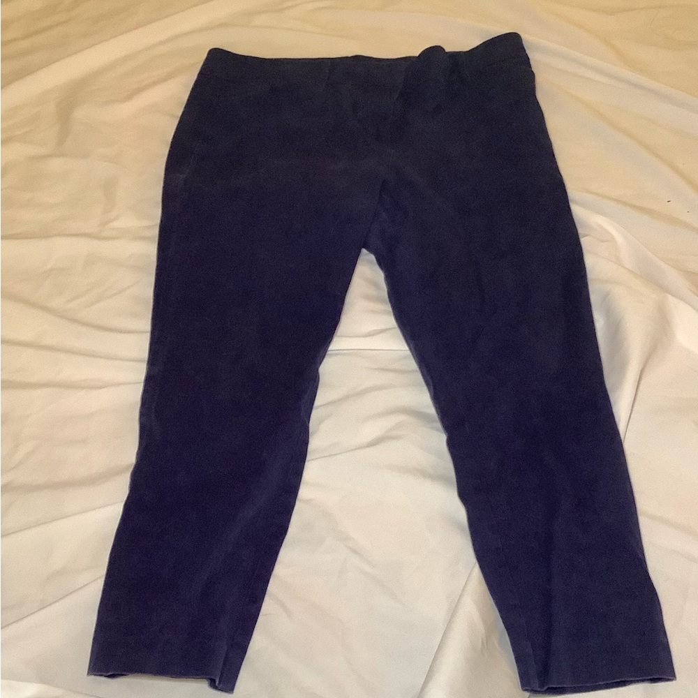 New York & Company Deep Blue Capri Pants